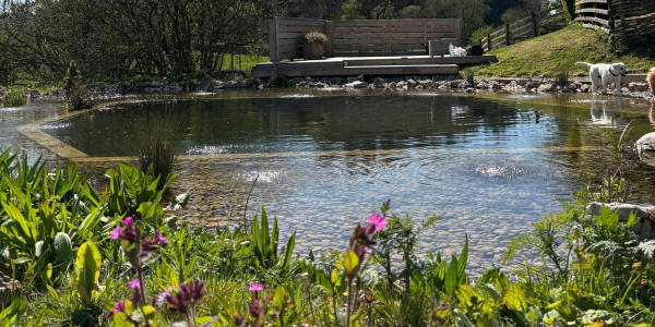 Ecological Planting Schemes