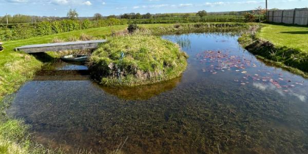 Wildlife Pond & Wetland Habitat Creation