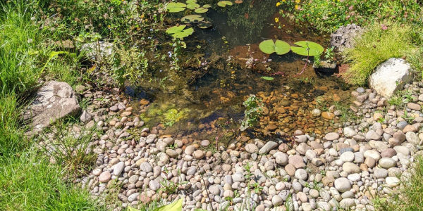 Habitat Enhancement on Existing Sites