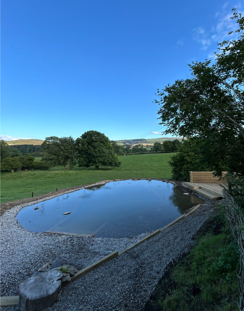 Completed natural swimming pond blending into the landscape